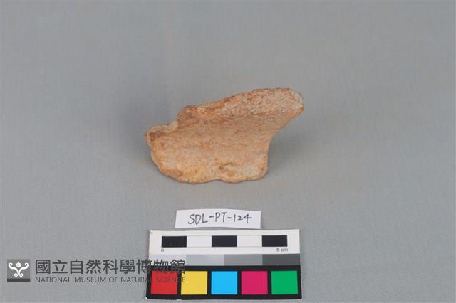 陶罐藏品圖，第1張