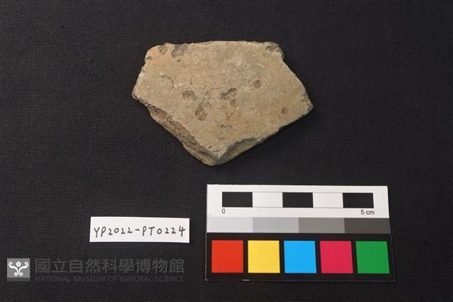陶片藏品圖，第1張