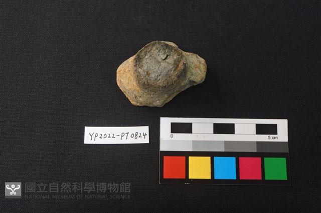 陶鈕藏品圖，第1張