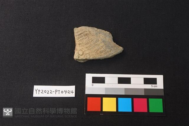 陶片藏品圖，第1張