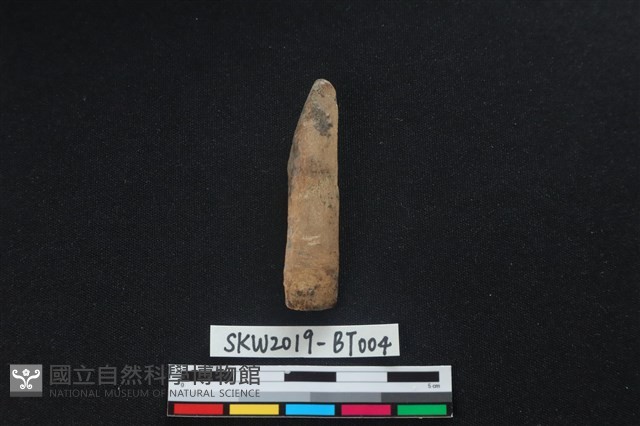 骨鑿藏品圖，第1張