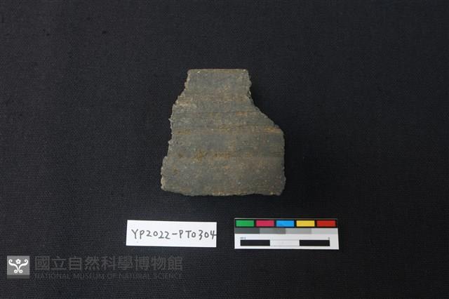 陶片藏品圖，第1張