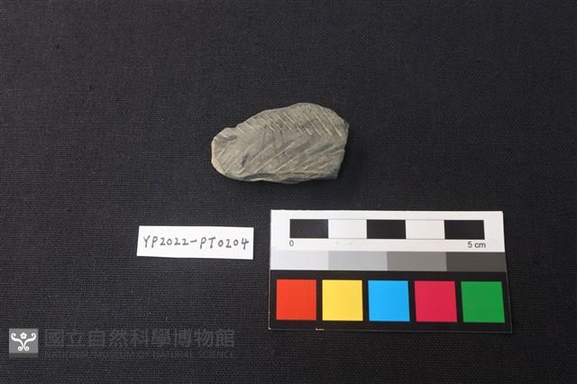 陶片藏品圖，第1張