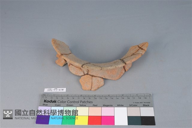 陶罐藏品圖，第1張