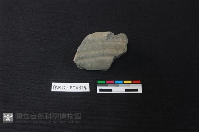 陶片藏品圖，第1張