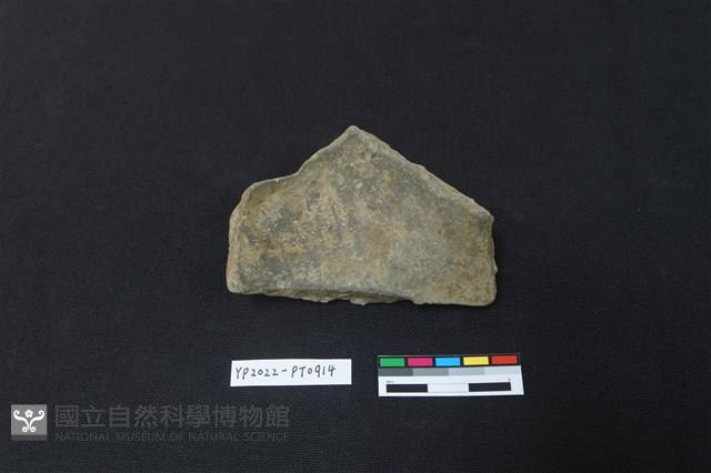 陶片藏品圖，第1張
