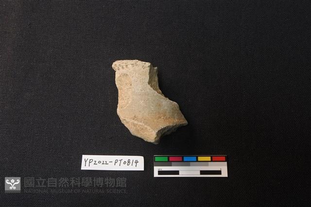 陶片藏品圖，第1張