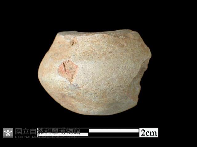 陶紡輪藏品圖，第1張