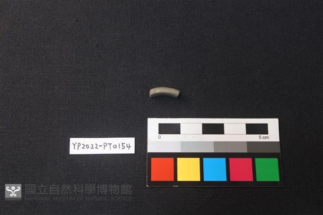 陶環藏品圖，第1張