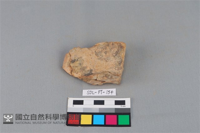 陶罐藏品圖，第1張