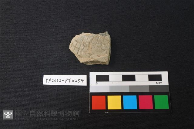 陶片藏品圖，第1張