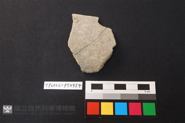 陶片藏品圖，第1張
