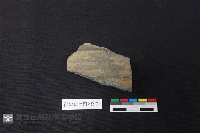 陶片藏品圖，第1張