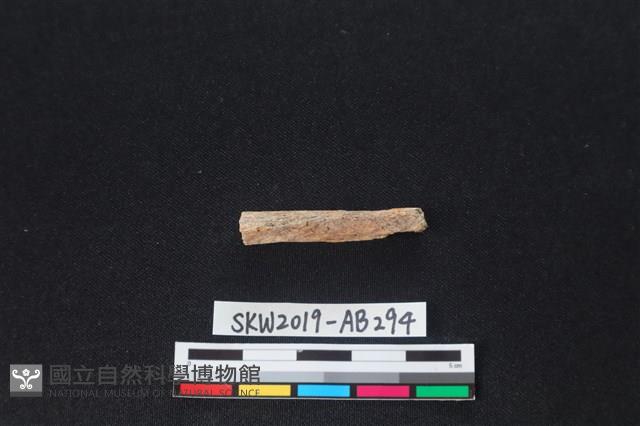 獸骨藏品圖，第1張