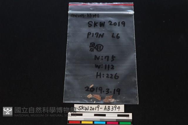 獸骨藏品圖，第1張