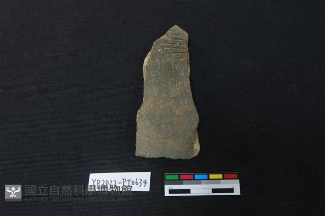 陶片藏品圖，第1張
