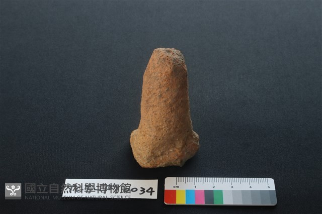 陶蓋鈕藏品圖，第1張