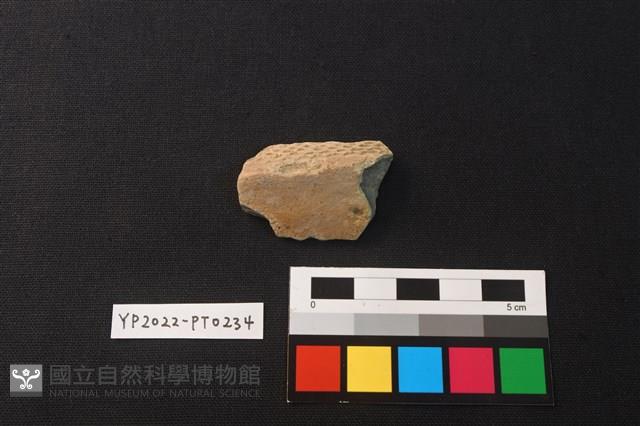 陶片藏品圖，第1張