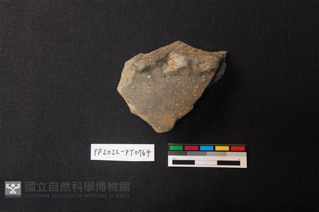 陶片藏品圖，第1張