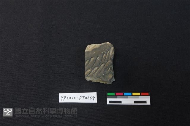 陶片藏品圖，第1張