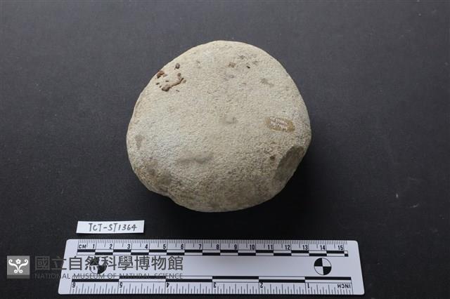 石鎚藏品圖，第1張