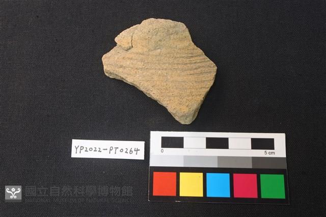 陶片藏品圖，第1張