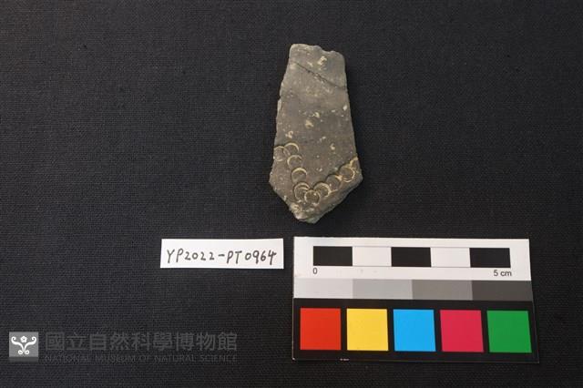 陶片藏品圖，第1張