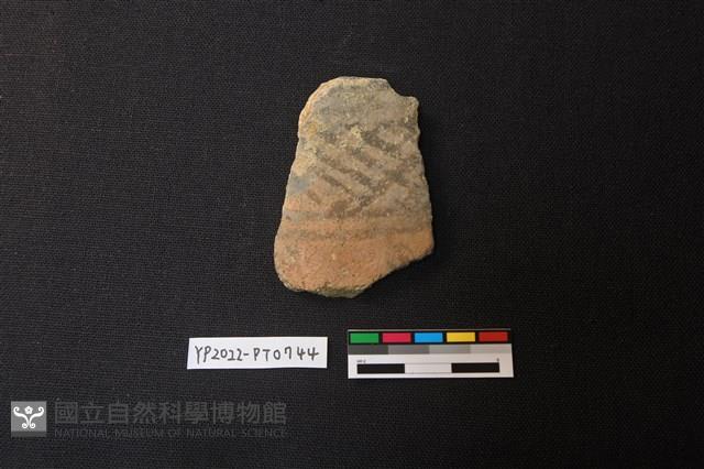 陶片藏品圖，第1張