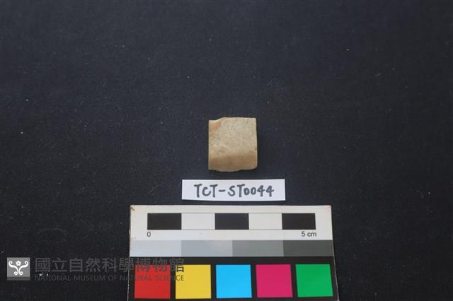 錛鑿形器藏品圖，第1張