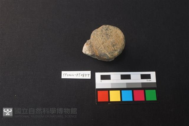 陶鈕藏品圖，第1張
