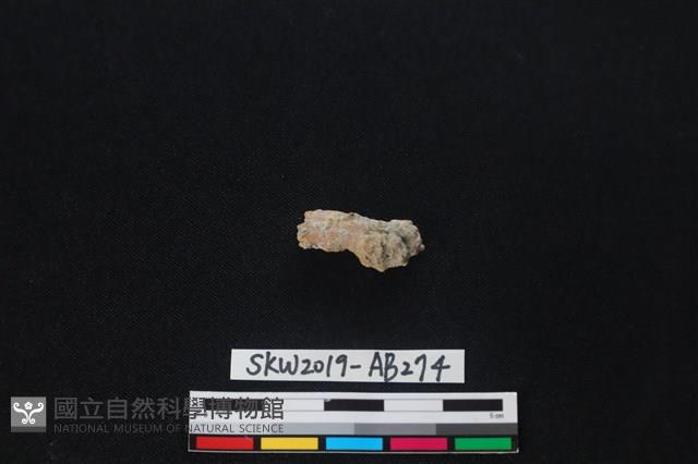 獸骨藏品圖，第1張