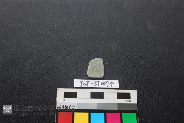 矛鏃形器藏品圖，第1張