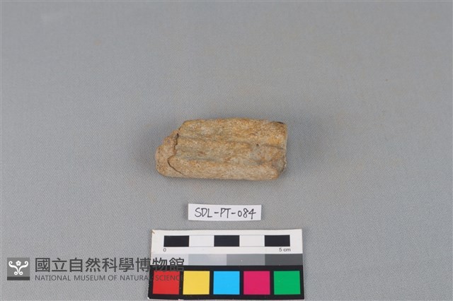 陶把藏品圖，第1張