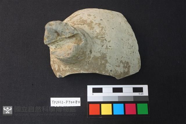 陶片藏品圖，第1張