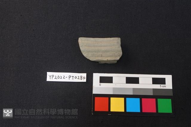 陶片藏品圖，第1張