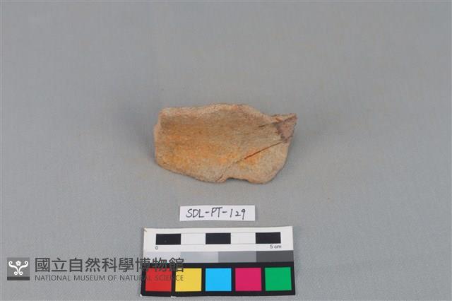 陶罐藏品圖，第1張