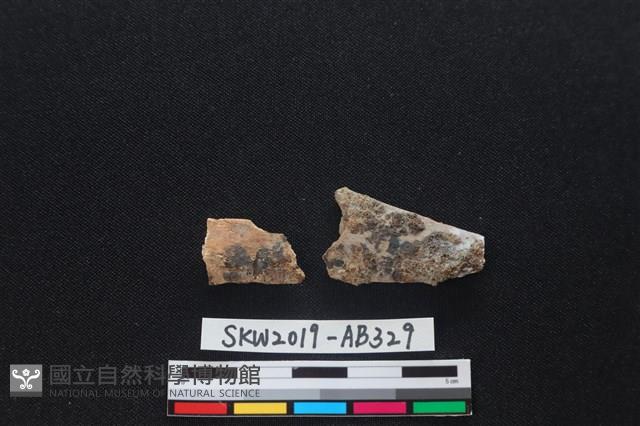 獸骨藏品圖，第1張