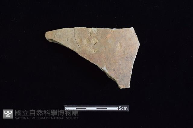 陶片藏品圖，第1張