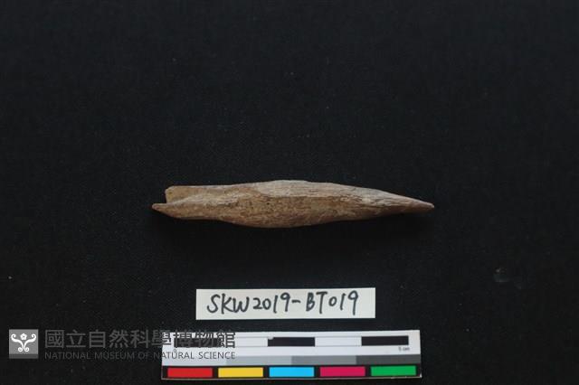 魚卡子藏品圖，第1張