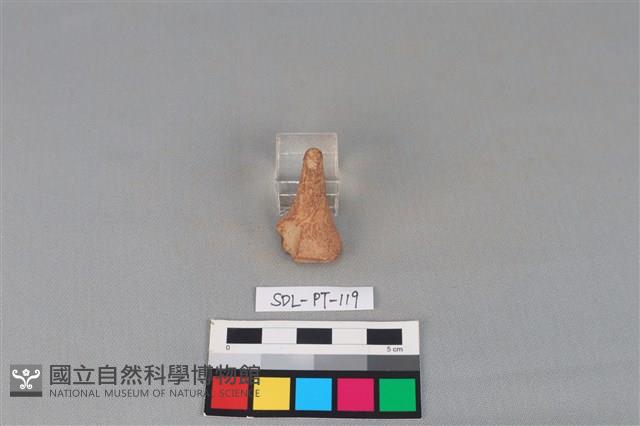 陶蓋藏品圖，第1張