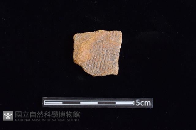 陶片藏品圖，第1張