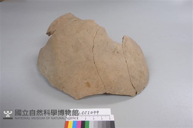 陶片藏品圖，第1張