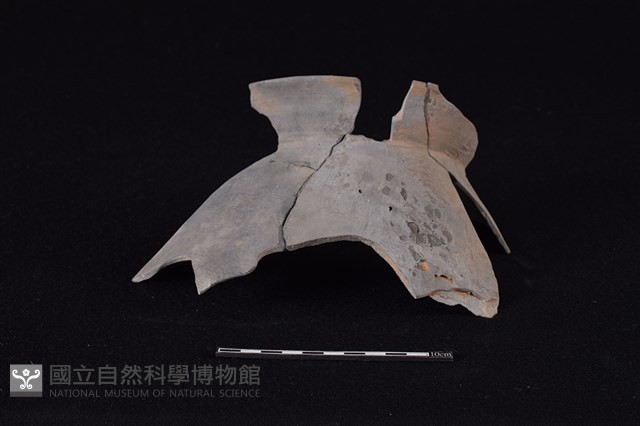 陶罐藏品圖，第1張