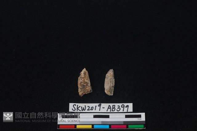 獸骨藏品圖，第1張