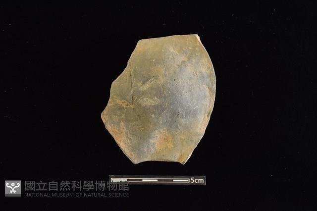 陶片藏品圖，第1張