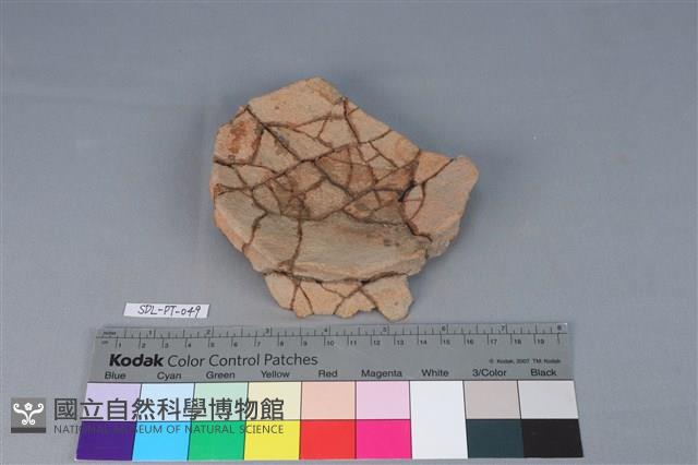 陶罐藏品圖，第1張