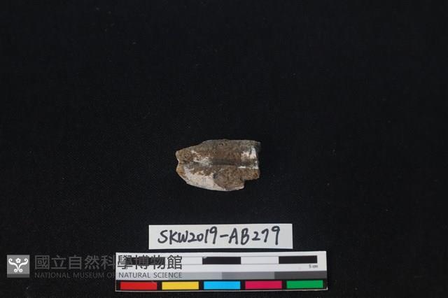 獸骨藏品圖，第1張