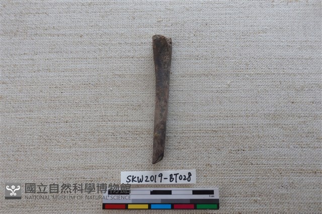 骨尖器藏品圖，第1張