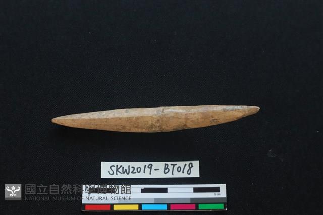 魚卡子藏品圖，第1張