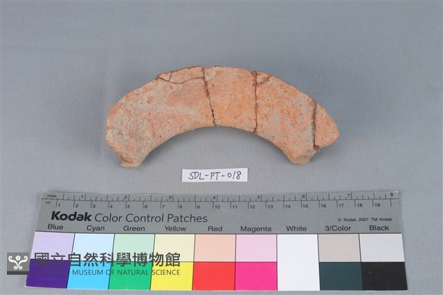 陶罐藏品圖，第1張